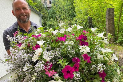 Hagen Salzer bestückt im Auftrag des Gewerbevereins „Wir in Auerbach“ die Laternenmasten mit Blumen: Geranien, Petunien und duftendem Thymian. Die Pflanzen kommen von Holland-Blumen.