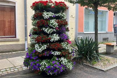 Auch in Falkenstein zieren seit ein paar Wochen bunte Blumen das Innenstadtbild.