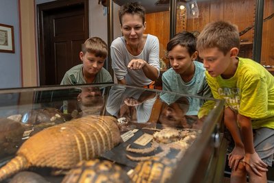 Biologin Christina Krüger erklärt Robin, Alex und Leon Tierpräparate in der "Wunderkammer" der Burg, darunter ein Weißborstengürteltier.