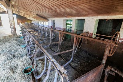 Inzwischen ist der Kuhstall leer. Am 27. April wurden die Tiere vom Hof gebracht. 40 Tiere kamen direkt zum Schlachthof.