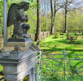 Die Stadt Frankenberg erwägt, die Friedhofsgebühren zu ändern, um Finanzen zu sparen. Auch bei der Verpachtung von Garagen und Gärten wird Spielraum gesehen. 