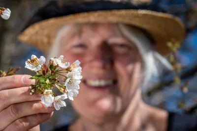 Die Blüten warten schon.