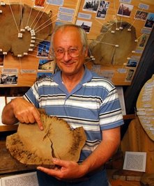 Bis 1031 zurück reichen die Jahresringe der 1169 geschlagenen Erlbacher Tanne, deren Holz hier von Helmuth Eßbach gezeigt wird.