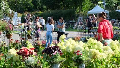 Über 50 Aussteller haben beim Haus- und Gartenmarkt im Oelsnitzer Bürger- und Familienpark ihre Angebote präsentiert. 
