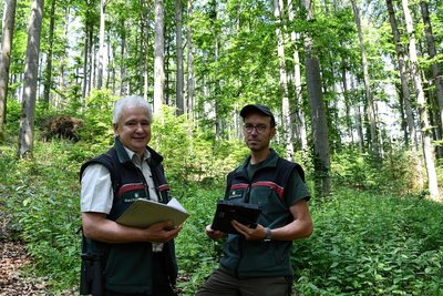Jörg Fleischer (links) und Jöran Zocher bei der Überprüfung des Buchenbestandes bei Mühlleithen im Forstrevier Klingenthal. 