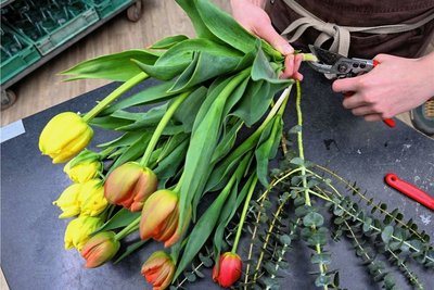 Auch in ihrem Garten zu Hause pflanzt die Floristin Blumen an. Diese sollen demnächst auch in ihre Sträuße. 