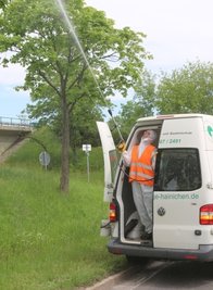 Schädlingsbekämpfung auf der S 34 nahe Leisnig. 