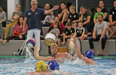 Die Zwickauer um Leistungsträger Franz Czerner (am Ball) erhalten endlich wieder Unterstützung von den Rängen.