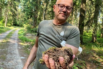 Milliarden von winzigen Krabbeltieren leben in einer Handvoll Walderde. Torsten Stemmler lehrt, achtsam zu sein mit sich und auf alles, was lebt.
