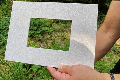 In der weiten Natur geht der kleine Marienkäfer unter, im Rahmen wird er in Szene gesetzt.