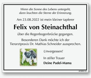 Im August starb Pudel Felix von Steinachthal. Sein Frauchen hat dem Tier zu Ehren eine besondere Traueranzeige in der "Freien Presse" aufgegeben.