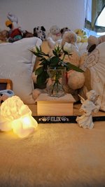 Die Urnenbox von Hund Felix, die Renate Kehr zu Hause auf ihrem Sofa aufbewahrt.