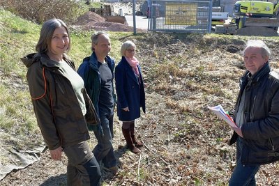 Hier sollten Teichmolche laichen: Tobias Mehnert (v. r.) vom Naturschutzverband Sachsen steht mit Andrea Gößl von der Landesstiftung Natur und Umwelt und den Naturschützern Ralf Habel und Ute Straßburg in dem "Ersatzgewässer", das 2002 beim Bau des Parkplatzes am Landratsamt in Freiberg angelegt worden war.