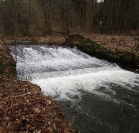 Das alte Wehr an der Wilisch unterhalb der Kalköfen. 