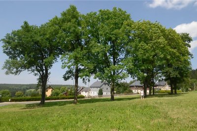 Das Baugrundstück zwischen Schönheider und Reiboldsgrüner Straße in Schnartanne-Vogelsgrün.