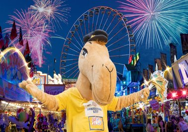 Im Juni soll die Kät nach zweijähriger Pause - in die auch der 500. Geburtstag fiel - endlich wieder gefeiert werden. Zehntausende Besucher zieht das größte Volksfest Sachsens normalerweise an. Immer mit dabei: Käti, das Kätkamel. 