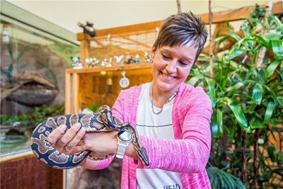 Franziska Meier von der Gemeindeverwaltung Bockau mit Steini, dem Königspython. Der kam in den Auer Zoo der Minis ins Terrarium von Artgenossin Elisabeth, die seit 2013 in Aue lebt. 