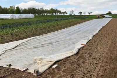 In den Videos berichtet der Landwirt über die Arbeit auf dem Biohof. Zu den Tätigkeiten auf dem Feld gehörte vor kurzem, wegen der Kälte einige Pflanzen mit Vlies abzudecken.