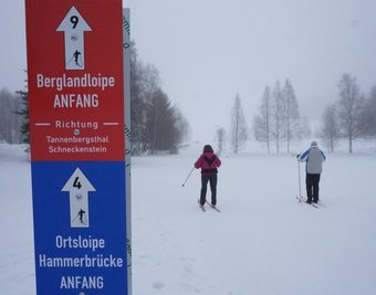 Einer der beiden Einstiege in die Berglandloipe an der Grundschule Muldenhammer in Hammerbrücke. Die Tourist-Info stuft die Ortsloipe als "bedingt befahrbar" ein. 