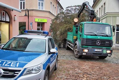 Mithilfe einer Polizeieskorte gelangte die 11 Meter hohe Tanne über die Nicolaistraße zum Altmarkt.