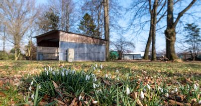 Der Park in Grünlichtenberg soll sein Gesicht verändern: So sollen unter anderem Bäume, die besser mit Dürre und Trockenheit zurechtkommen, gepflanzt werden. 