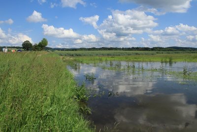 An der Plohner Hauptstraße hat der Regen einen See auf einer landwirtschaftlichen Fläche entstehen lassen.
