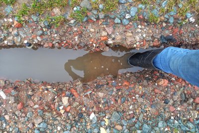 Ausspülungen auf Wegen gab es in der Umgebung von Lengenfeld.