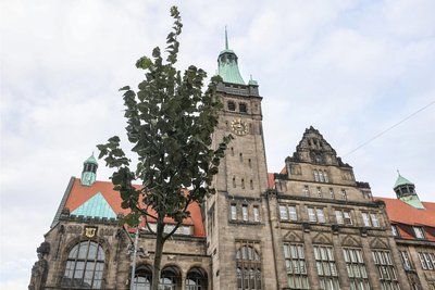 Seit Freitag ziert eine Silberlinde den Chemnitzer Markt.