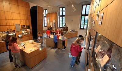 Blick zurück: Bis Oktober 2019 war die Begleitausstellung über das Naturalienkabinett zu sehen. 