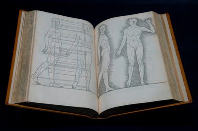 Ein halbes Jahr nach dem Tod Albrecht Dürers - 1528 - erschien die Ausgabe seiner Proportionslehre, die 1591 in die Kunstkammer des sächsischen Kurfürsten gelangte.
