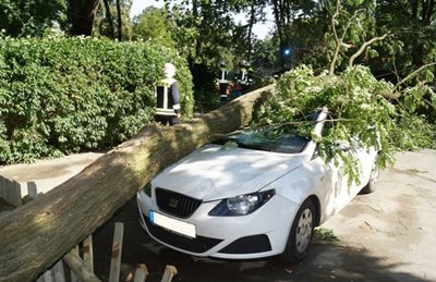 Ein umgestürzter Baum hat am Samstag in Wiesenburg einen weißen Seat unter sich begraben.