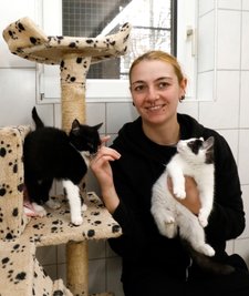 Mitarbeiterin Larissa Lämmel mit drei jungen Katzen im Katzen-Kinderzimmer des Tierheims Langenberg. Die Aufnahmekapazitäten der Einrichtung für solche Tiere sind zurzeit erschöpft.