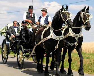 Auf Tatjanas Wunsch von Friesen gezogen, fährt Dieter Unger das Hochzeitspaar in einer Kutsche vom Mülsener Standesamt zur freien Trauung nach Marienau. 