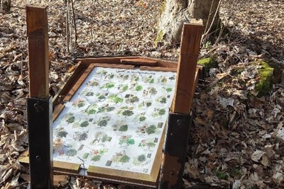 Unbekannte haben am Großolbersdorfer Naturlehrpfad Hofwiesen randaliert.