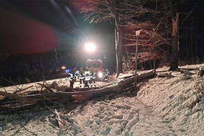 Ein großer Baum, der umgefallen war, versperrte die Geleitstraße bei Mulda. Foto: Gerd Saring