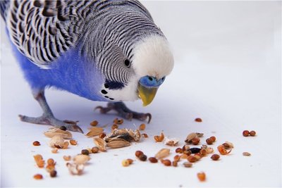 Lecker!