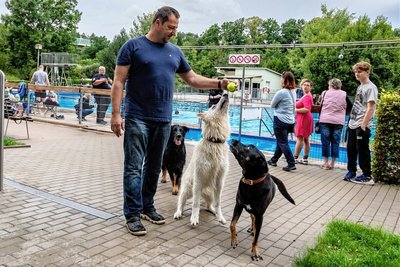 Timo Söllner aus Aue mit seinen Hunden Sammy, Malin und Kolja