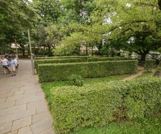 Die Hecken im Stadthallenpark, die kleine grüne Nischen bilden, sollen gerodet werden.