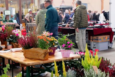 Herbstlich präsentierten sich einige Stände zum Tag des offenen Hofes am Wochenende.