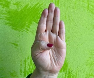 Zuerst wird der Daumen in die Handfläche gelegt ...