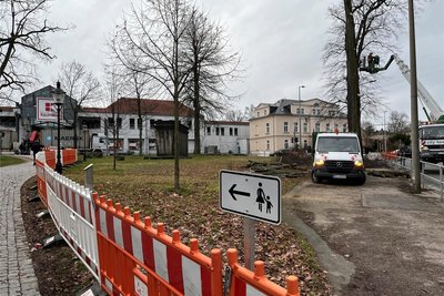 Fußgänger werden umgeleitet. Für die gefällten Bäume soll es später Ersatzbepflanzungen geben.