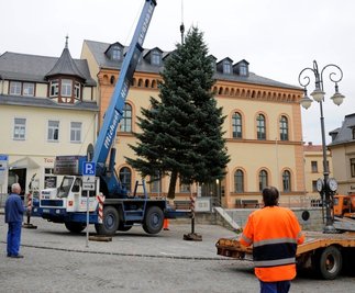 Mitarbeiter der RAD und der Firma Kran-Held stellten diese schmucke Colorado-Tanne vorm Rathaus auf. In den nächsten Tagen wird sie noch geschmückt. Dann kann die Adventszeit kommen.