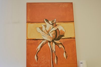 Ein Bild an der Wand mit dem Motiv einer Rose als Symbol für die Liebe zu den Patienten.