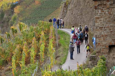 Der Rotweinwanderweg führt durch die idylische Weinberge des Ahrtals. Nach der Ahr-Flut mit mindestens 134 Toten im Juli 2021 ist der Wandertourismus in dem Flusstal wieder aufgeblüht - und finanziert den Wiederaufbau mit.