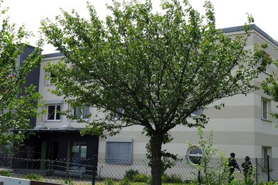 Im früheren Arbeitsamt an der Gabelsberger Straße wurde ein Amok-Szenario geprobt.