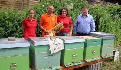 In Grün: Zehn Bienenbeuten stehen seit Mai 2020 an einem ehemaligen Betriebsgraben in Schwarzenberg-Sachsenfeld. Imker Kai Schulze (2. v. l.) erläutert Stadtwerke-Vertretern - von links Mitarbeiterin Sarah Lässig, Stabsleiterin Katrin Schneider und Geschäftsführer Sascha Wehrmann - Details. 
