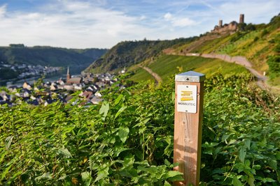 Der 365 Kilometer lange Moselsteig führt durch Weinberge, Wälder und kleine Flussdörfer.