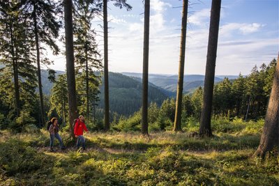 Der Rothaarsteig führt durch das Sauerland. Immer mehr - auch jüngere - Wanderer sind deshalb in der Region unterwegs.