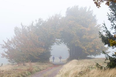 Bei einer Wanderung auf dem Rennsteig muss wie hier bei Masserberg (Thüringen) auch mit Nebel gerechnet werden. Der etwa 170 Kilometer lange Kammweg im Thüringer Wald ist im Herbst ein beliebtes Ziel für Wanderer und Naturliebhaber.