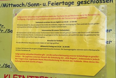 Ein Aushang am Eingang des Tierheim "Waldfrieden" weist auf die noch immer aktuellen Regelungen infolge der Pandemie hin. 